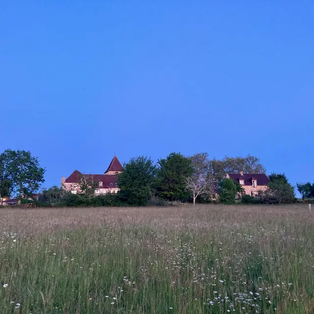 Sireuil