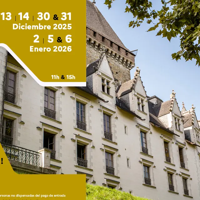 Site_internet_ Visites_en_espagnol_dec_2025