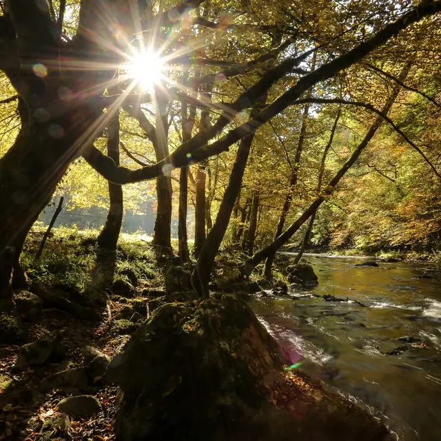 St_hilaire_foissac_nature-2016 (4)