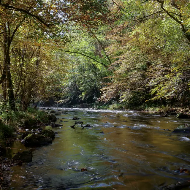 St_hilaire_foissac_nature-2016 (8)
