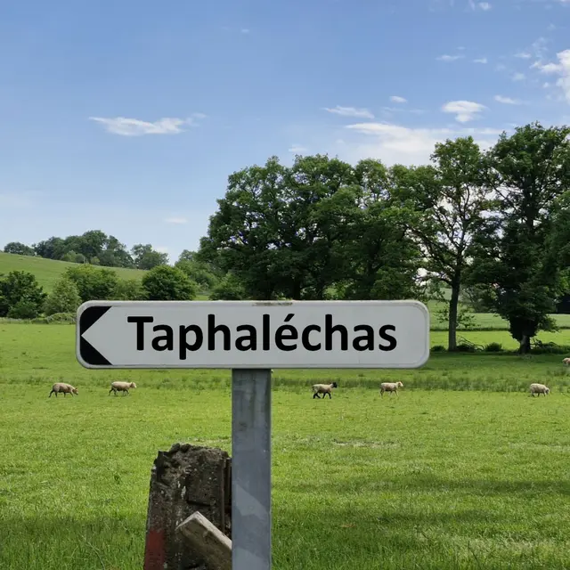 Taphapanneau