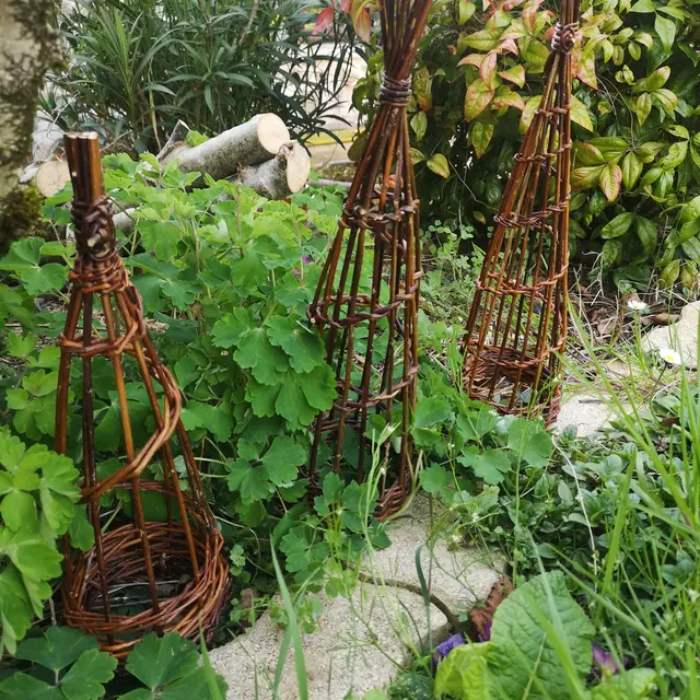 Tuteur conique - Atelier Calathea