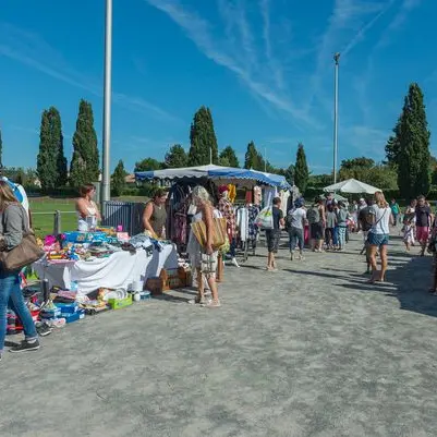 VDL_026481_BD