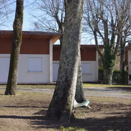 Village oiseaux