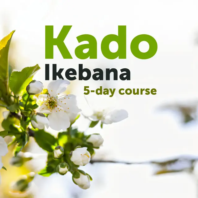 Visuel_KadoIkebana2