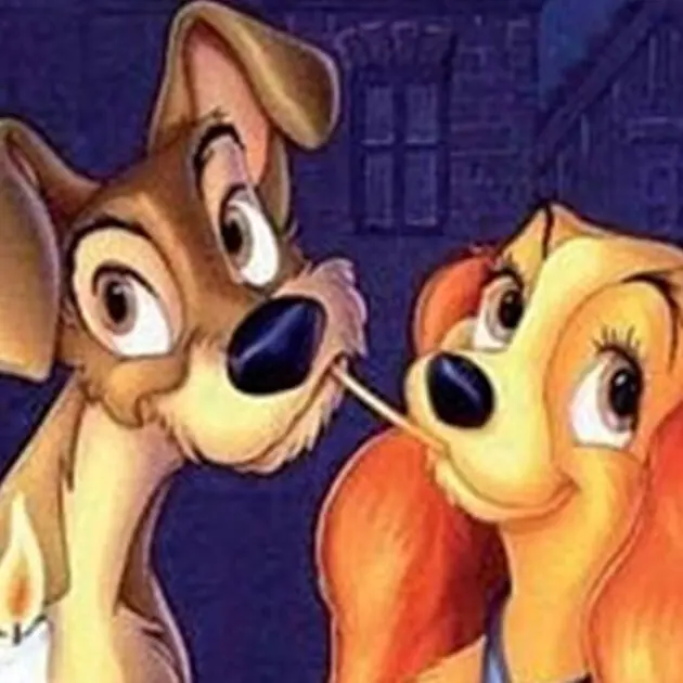 Visuel_la-belle-et-le-clochard