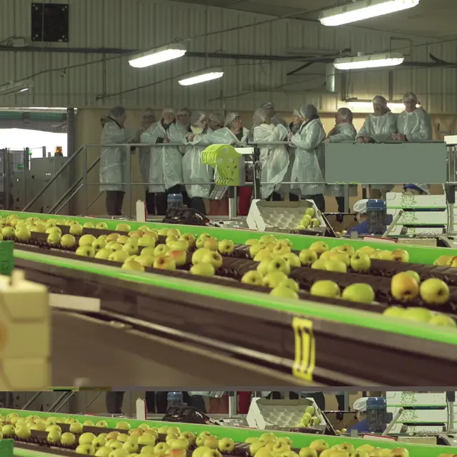 Visite cooperative