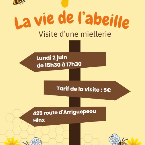 Visite miellerie Larronde 2 JUIN