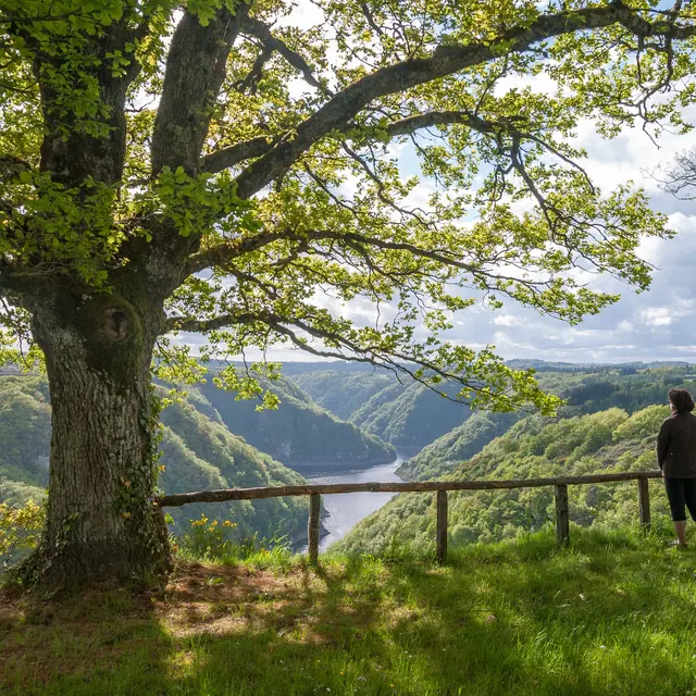 Vue_générale-St-Nazaire-Josselin_Matthiaud