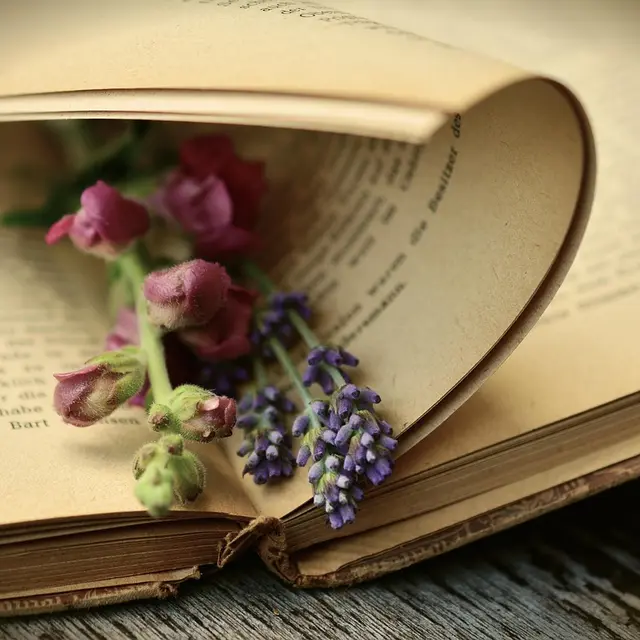a-book