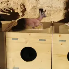atelier maison de la nature animaux
