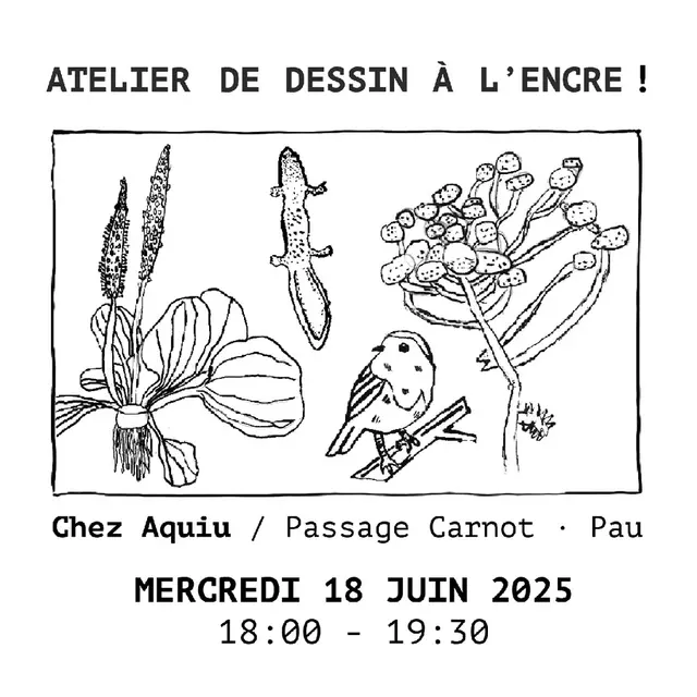 atelier dessin aquiu