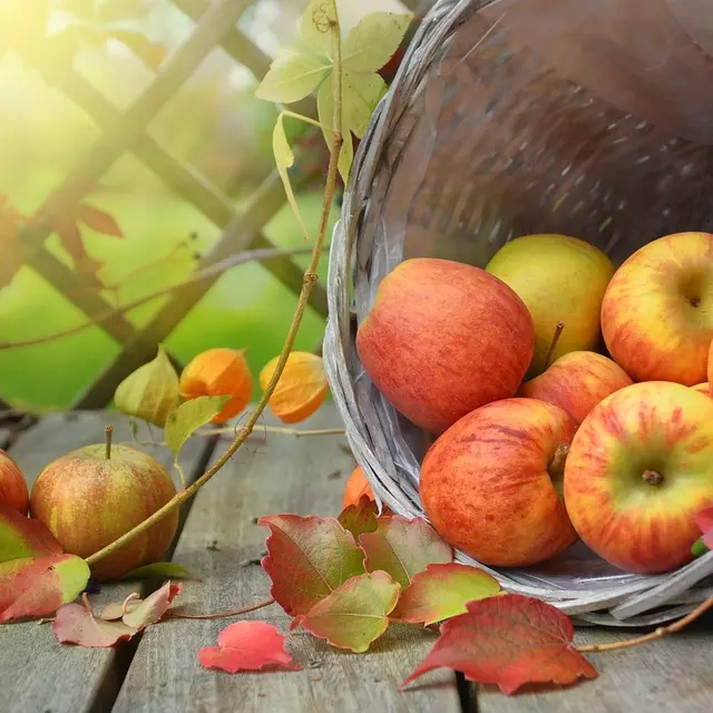 Fête de l'automne Le Chalard