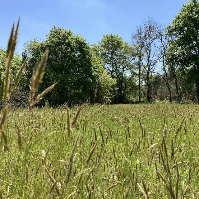 balade nature