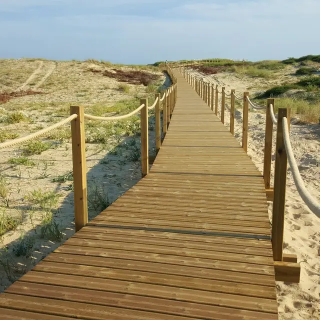 baladesurladune-seignossetourisme 38
