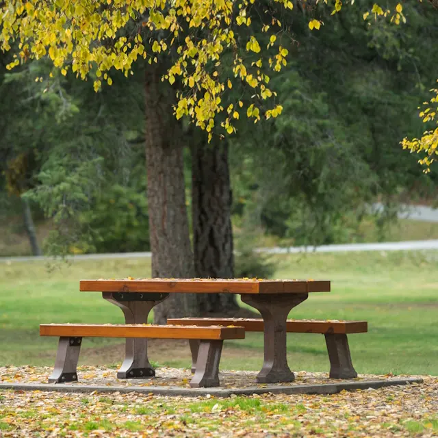 Table de pique nique