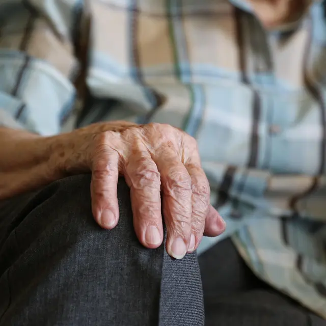 beejees-hands-1408480_1920