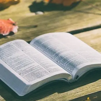 bible-g5b04b6a28_640