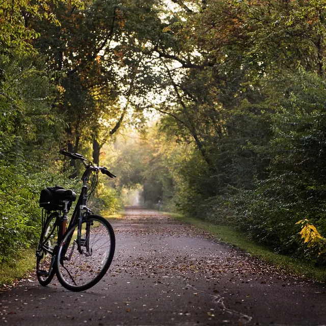 Location de vélos électriques