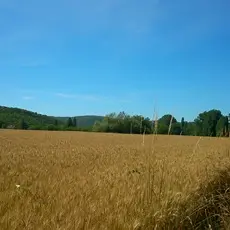 blémaurival