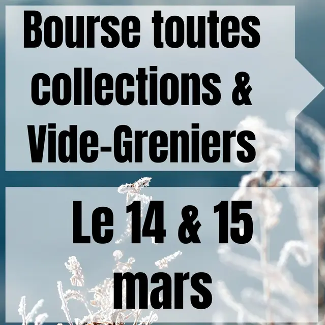 Bourse toute collection & Vide-Grenier Le 17 & 18 Février SALLE POLYVALENTE DE MONTALIVET - 10