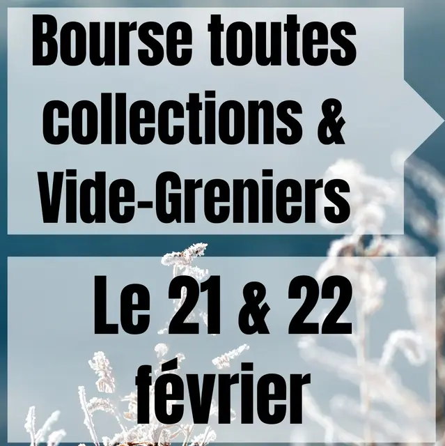 Bourse toute collection & Vide-Grenier Le 17 & 18 Février SALLE POLYVALENTE DE MONTALIVET - 9