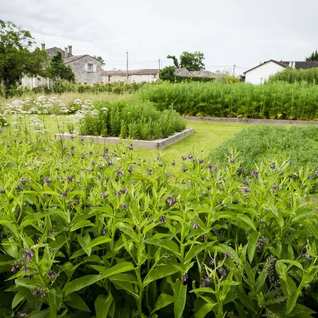chateau_monestier_la-tour_Le jardin