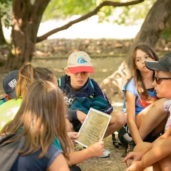 A la recherche du trésor...