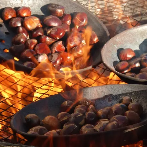chestnuts-1783878_640