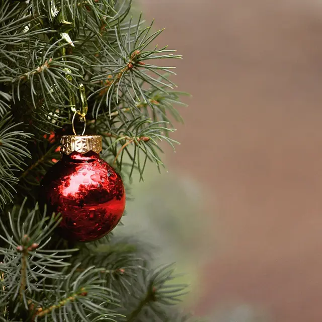 christmas-4704707_1280 (1)