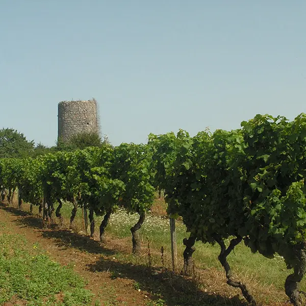 colombier_vue2