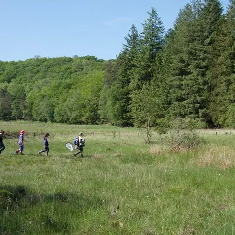 La tourbière des Dauges