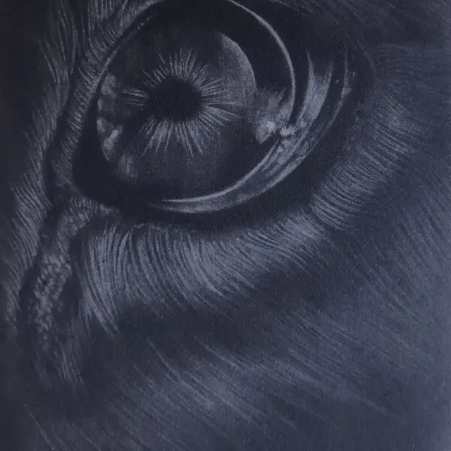 csm_gravure1_73ddd73687