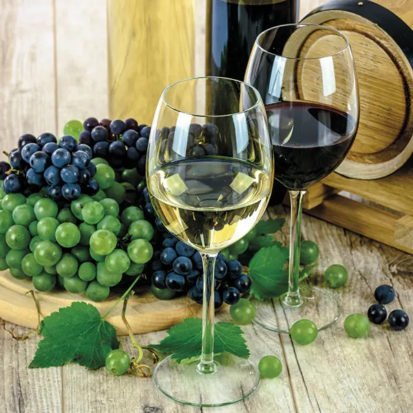 Dégustation de vins