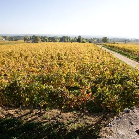 domaine-haut-pecharmant