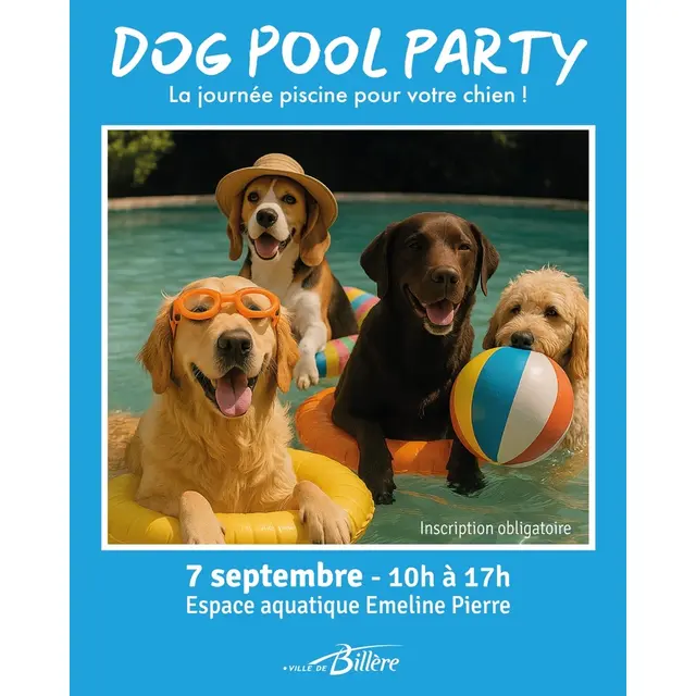 dog pool party