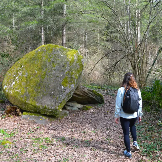dolmen-de-la-goupillère-les-cars