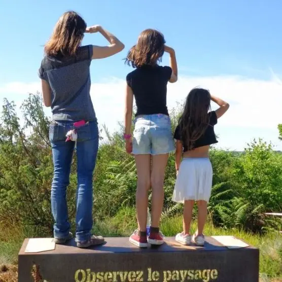 du-bruit-dans-les-bruyeres