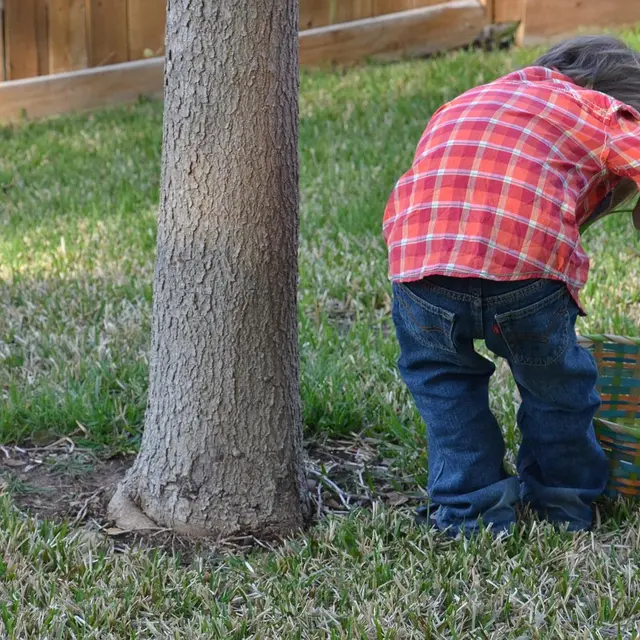 Chasse aux oeufs solidaire