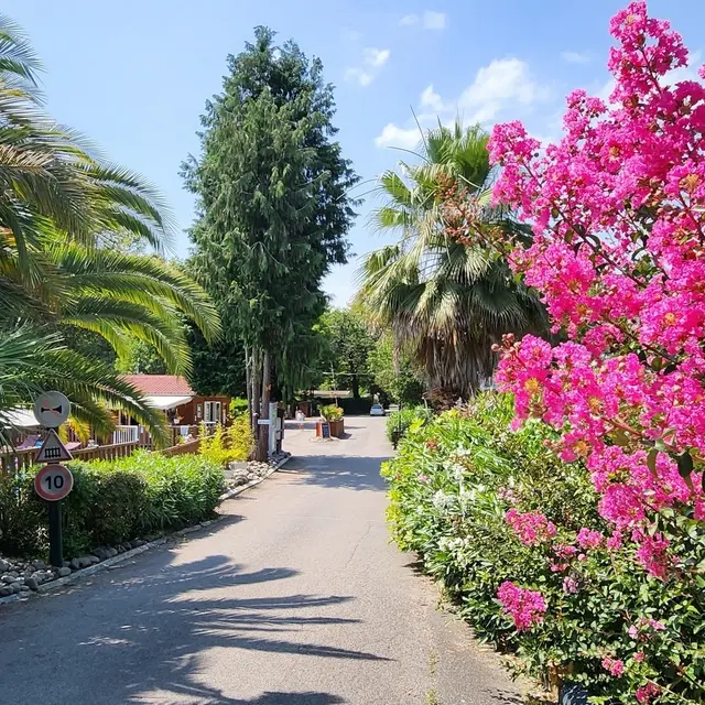 Camping City Nature - lescar - entrée