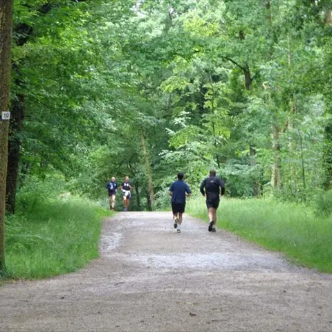 Bois de la Bastide_1