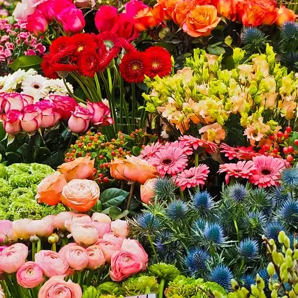 flower-3231099_640