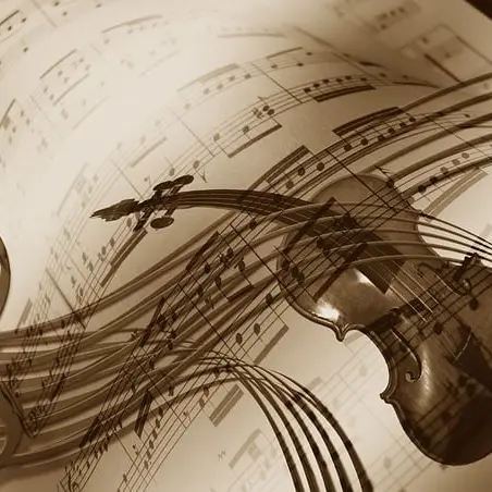 violon