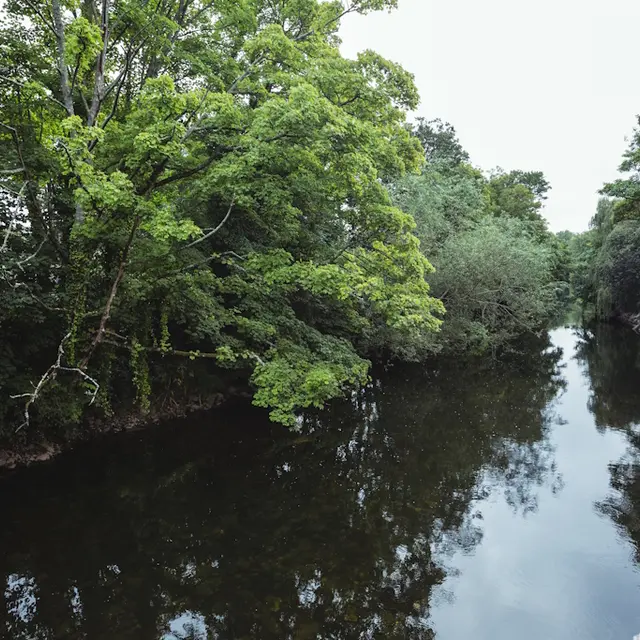 rivière
