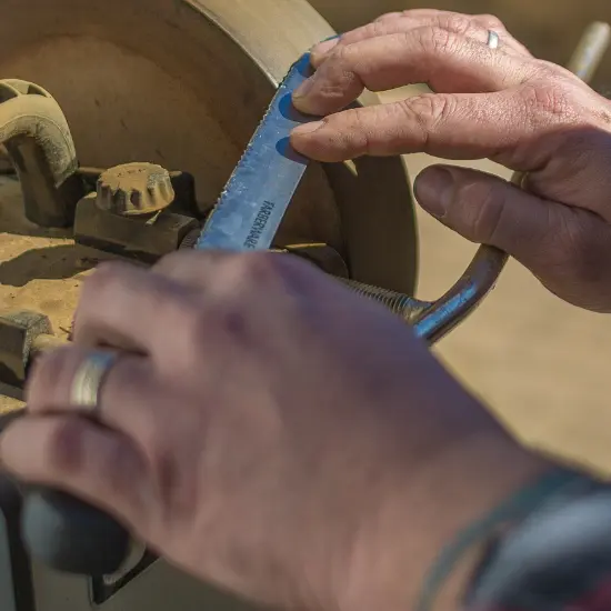 header_oc_gerardgoncalves