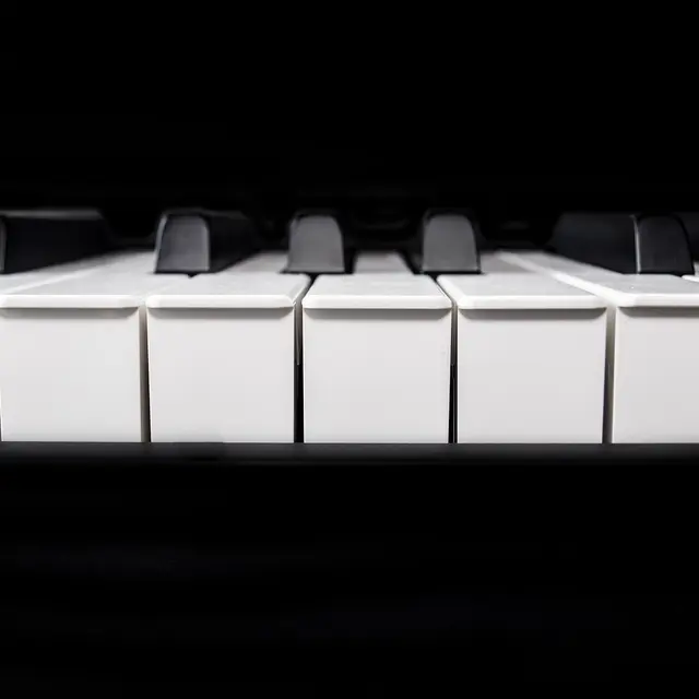 iguanat-piano-2412400_1280