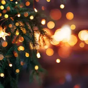 illumination sapin image