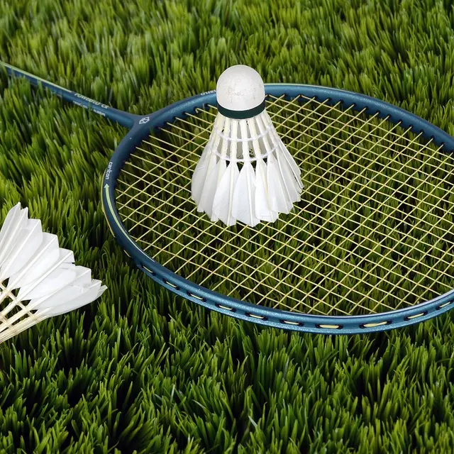 image badminton