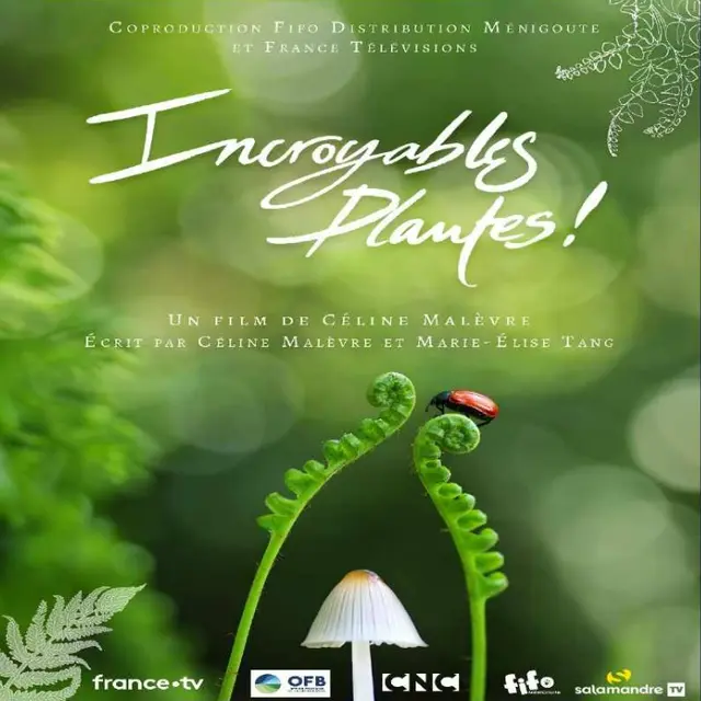 image plantes