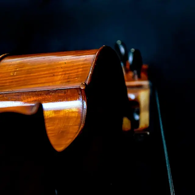 violoncelle